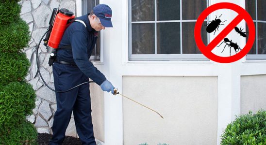 Biga Tahtakurusu İlaçlama böcek ilaçlama ve haşere kontrolü — ilaclama-tr.com